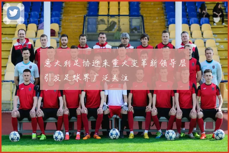 意大利足协迎来重大变革新领导层引发足球界广泛关注